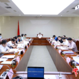 周振宇主持召开市政府第11次常务会议