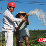 国网石门县供电公司：“一站式”服务为农田送去“及时雨”