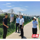 邮储银行常德分行开辟金融服务“绿色通道”， 为农业抗旱保产注入“金融活水”