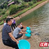 桃源茶庵铺镇组织开展“保护生态·增殖放流”活动