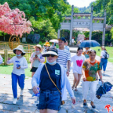 8月1日，常德桃花源旅游区共接待游客2.1万人次