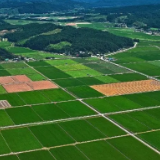  市领导调研津市市乡村振兴示范片建设工作