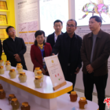 【创新突破 产业突围】湖南省蜂业质量提升培训班在石门县举办