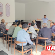 桃源县马鬃岭镇：从“实”出发，做振兴“新”文章