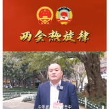 两会热旋律丨常德市人大代表曾召平：关于促进农民增收的建议