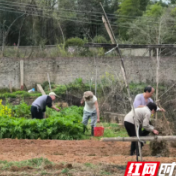 工行常德分行前往鼎城草坪开展植树节活动