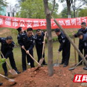 常德公安交警支队：义务植树添新绿 美化家园促发展