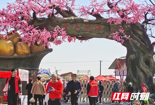 常德西湖：金色桃海花开如画 乡村振兴再展新颜