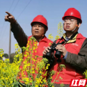 国网临澧县供电公司：党建引领促“村网共建”提质
