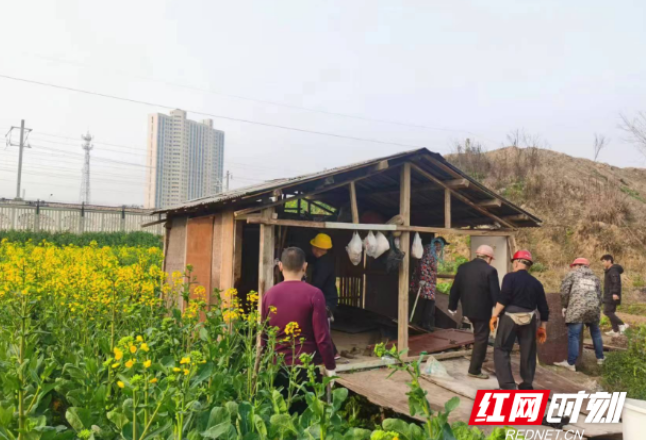 武陵区南坪街道：控违有力度 治违有温度