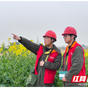 【服务月】国网西洞庭供电公司 “电力春风”送上门