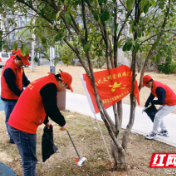  新时代文明实践耀武陵丨芷兰街道组织开展“学习雷锋精神 争做护路先锋”活动