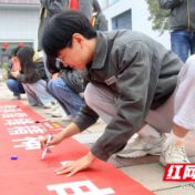 国网桃源县供电公司：“电小骡”学雷锋 争做时代新青年
