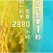 湖南省制止餐饮浪费专项行动创意海报来了！