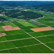 市领导到花园村走访群众听民声