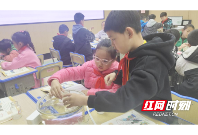 常德西湖：2023年小学科学优质课评选活动举行