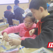 常德西湖：2023年小学科学优质课评选活动举行