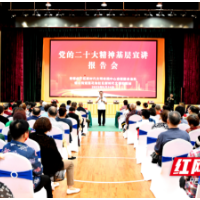 常德经开区：党的二十大精神宣讲进基层 “声”入群众润民心