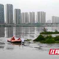 视频丨河水猛涨 垂钓者被困河中孤岛 石门消防紧急救援脱险