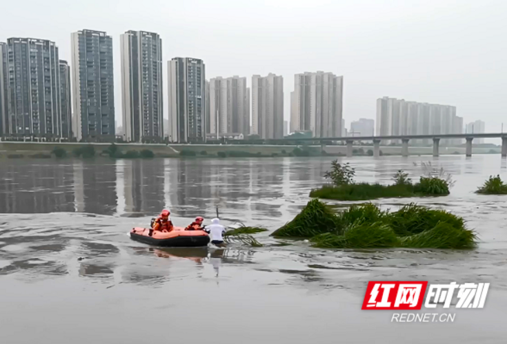 视频丨河水猛涨 垂钓者被困河中孤岛 石门消防紧急救援脱险