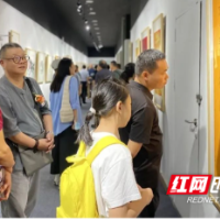 常德市举“办阳光总在风雨后”湖南名家艺术作品邀请展