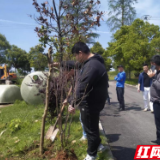 武陵区芦荻山乡台家铺村：身边好人罗华的“心愿”