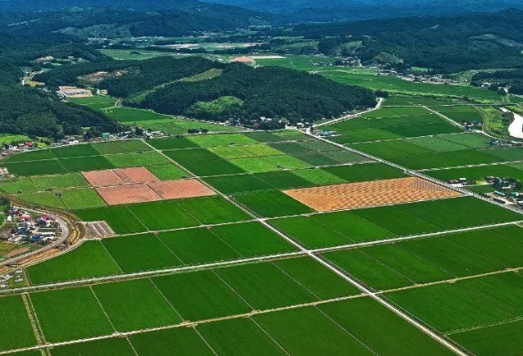 澧县官垸镇码头社区：党建引领助力乡村振兴