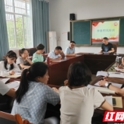 桃源县红岩小学开展师德师风专题培训会