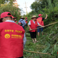 桃源县马鬃岭镇：党建引领，展人居环境整治新颜