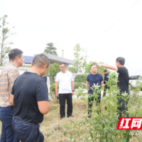 常德市住建局招标办党支部开展携手共建助力乡村振兴主题党日活动