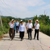 常德市领导赴澧县、石门县督导检查山洪灾情处置和安全生产工作