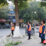 汉寿：行道树木精修剪，城市客厅“焕新颜”