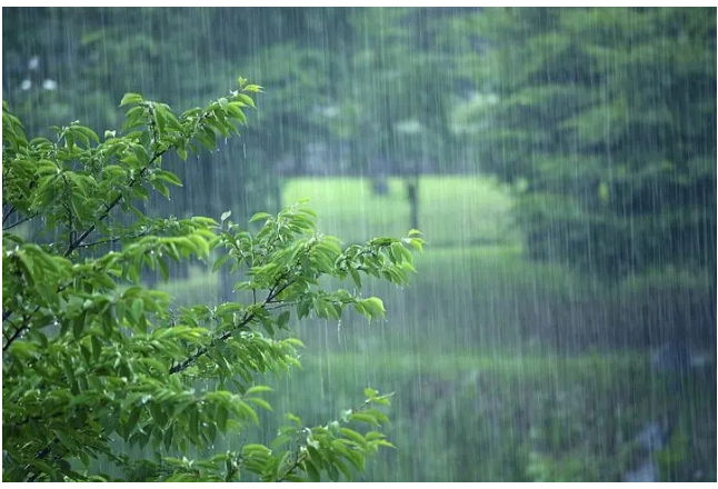 本轮低温雨雪天气如何应对？常德市减灾委员会提示抓好这六个方面