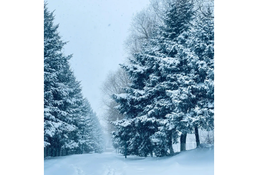 迎冰雪，抗寒冬——常德联通一线抗击桃源县冰雪灾害