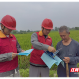 国网澧县供电公司：稻花香里说丰年 电力满格助丰收