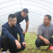 标本兼治守好惠民惠农“钱袋子” 常德开展惠民惠农补贴资金管理突出问题整治