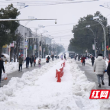 桃源青林乡：冰天雪地见真情，团结守护“平安乡”