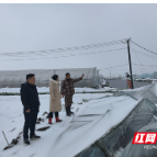 蔬菜种植户遭冰灾心急如焚 邮储银行汉寿支行上门服务情暖人心