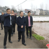 周振宇赴桃源县调研春耕生产和粮食安全工作