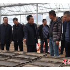 市领导到安乡县调研农产品精深加工、“非粮化”问题及春耕备耕备产工作
