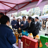 常德市开展纪念“三八”国际劳动妇女节主题活动