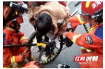 男孩腿卡自行车 汉寿消防员两分钟成功解救