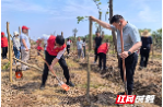 新时代文明实践耀武陵|永安街道开展植树志愿服务活动