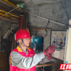 国网鼎城区供电公司：夏种助农电力足 点亮乡村振兴路