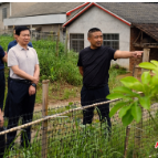 常德市领导到临澧县沃沙村调研乡村振兴工作