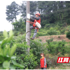 国网石门县供电公司：“三牌”治理保安全