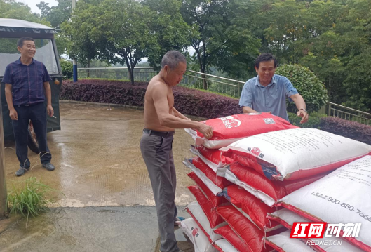 石门夹山镇：产业帮扶结硕果，乡村振兴迈新步