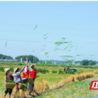 湖南应用技术学院：深入田间地头 体验农活乐趣