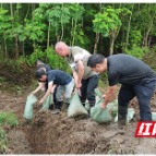 纪实丨武陵区芙蓉街道：干群齐心除散浸