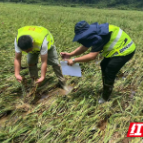 人保财险常德市分公司：迅速理赔显担当  真诚服务暖人心